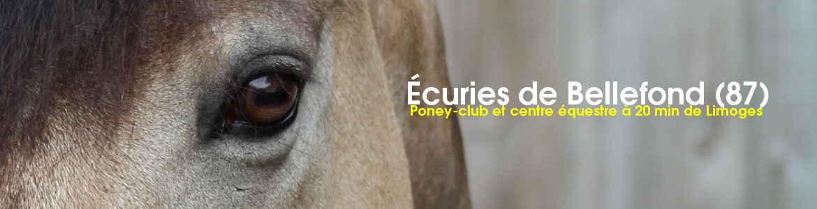 Écuries de Bellefond (87)